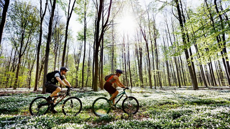 couple-mountain-biking-together-2024-10-20-10-08-21-utc