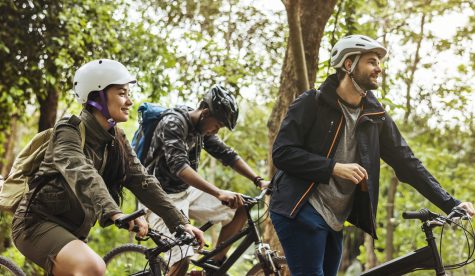 group-of-friends-ride-mountain-bike-in-the-forest-2025-02-09-22-51-36-utc